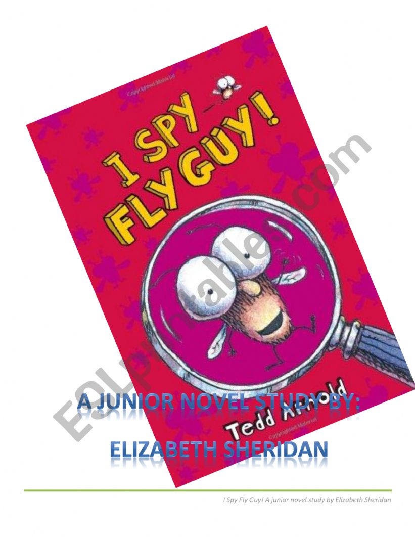 Fly guy worksheet