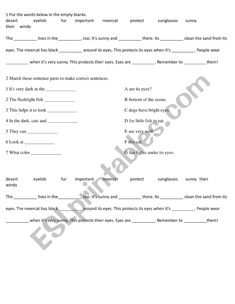 ANIMAL EYES - EXERCISES worksheet