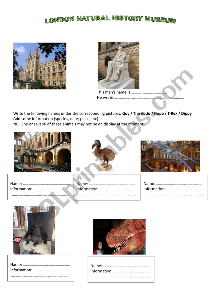 The Natural History Museum in London part 1
