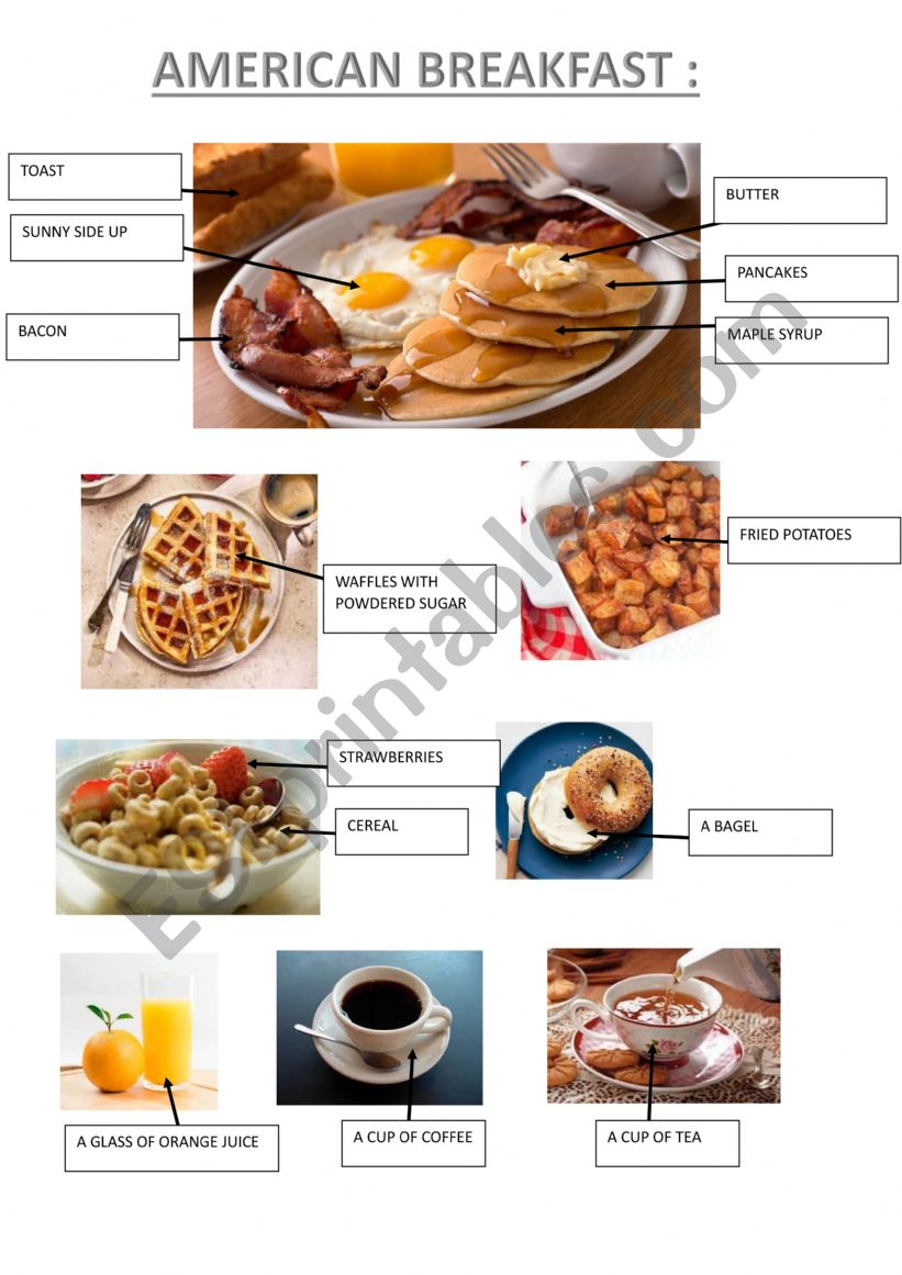 BREAKFAST IN THE USA AND IN ENGLAND