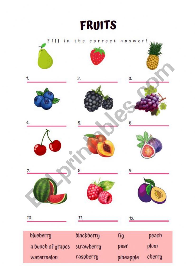 Fruits vocabulary worksheet