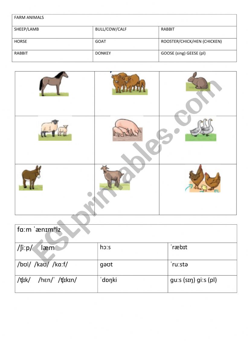 Farm animals worksheet