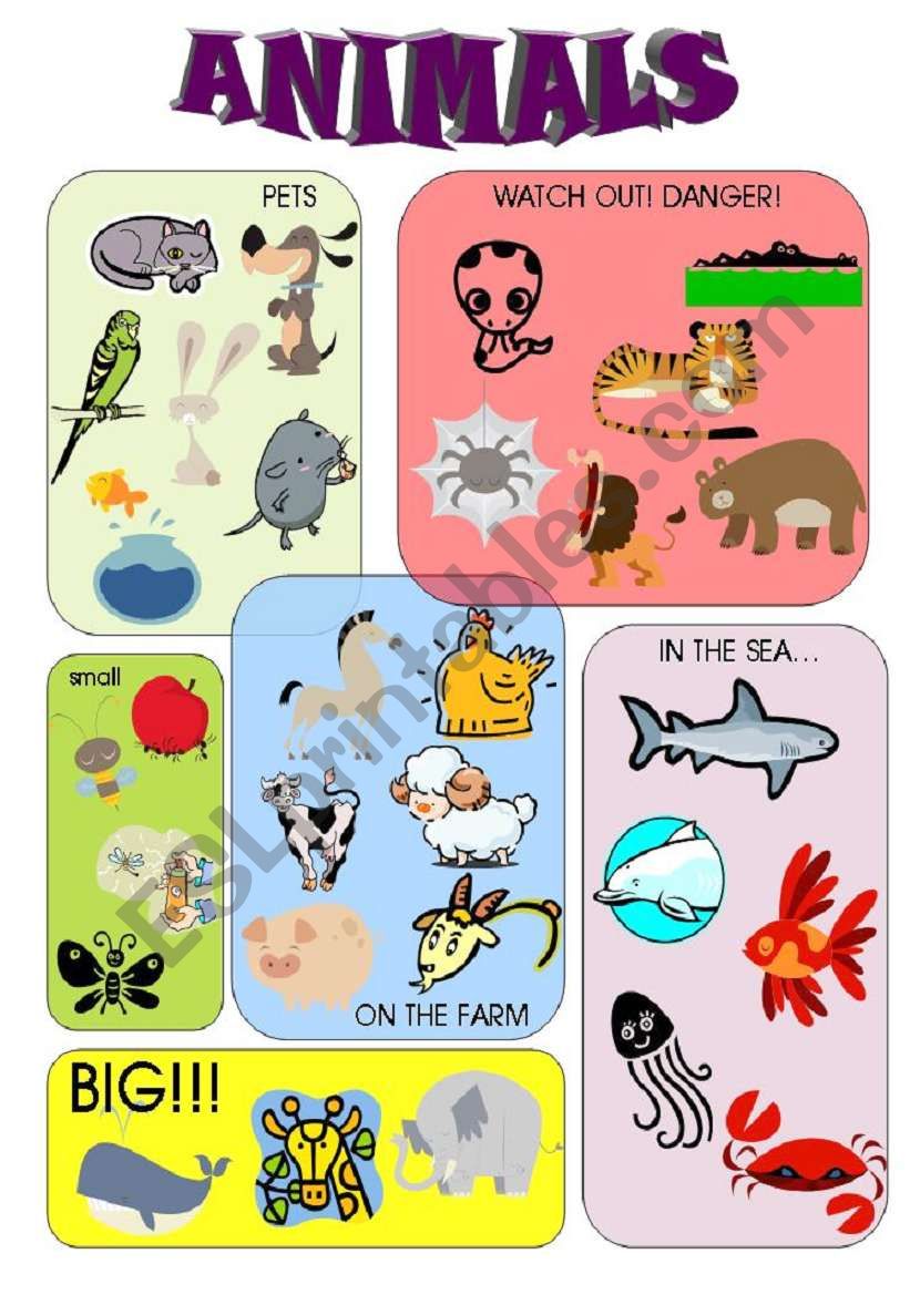 ANIMALS worksheet