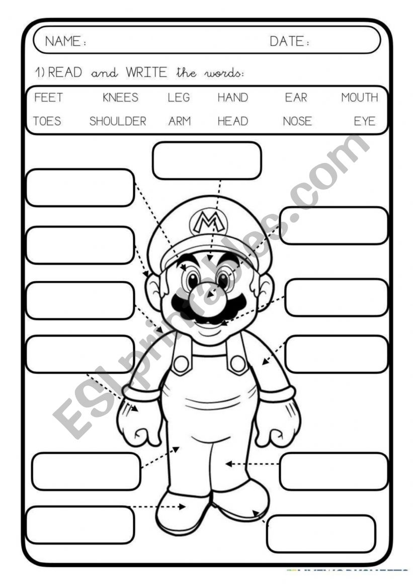 Parts of the body worksheet