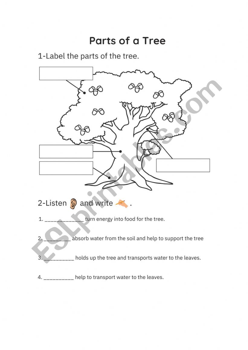 Parts of the tree worksheet