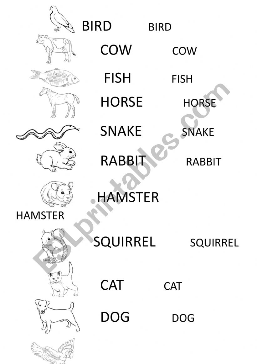 Trace  worksheet