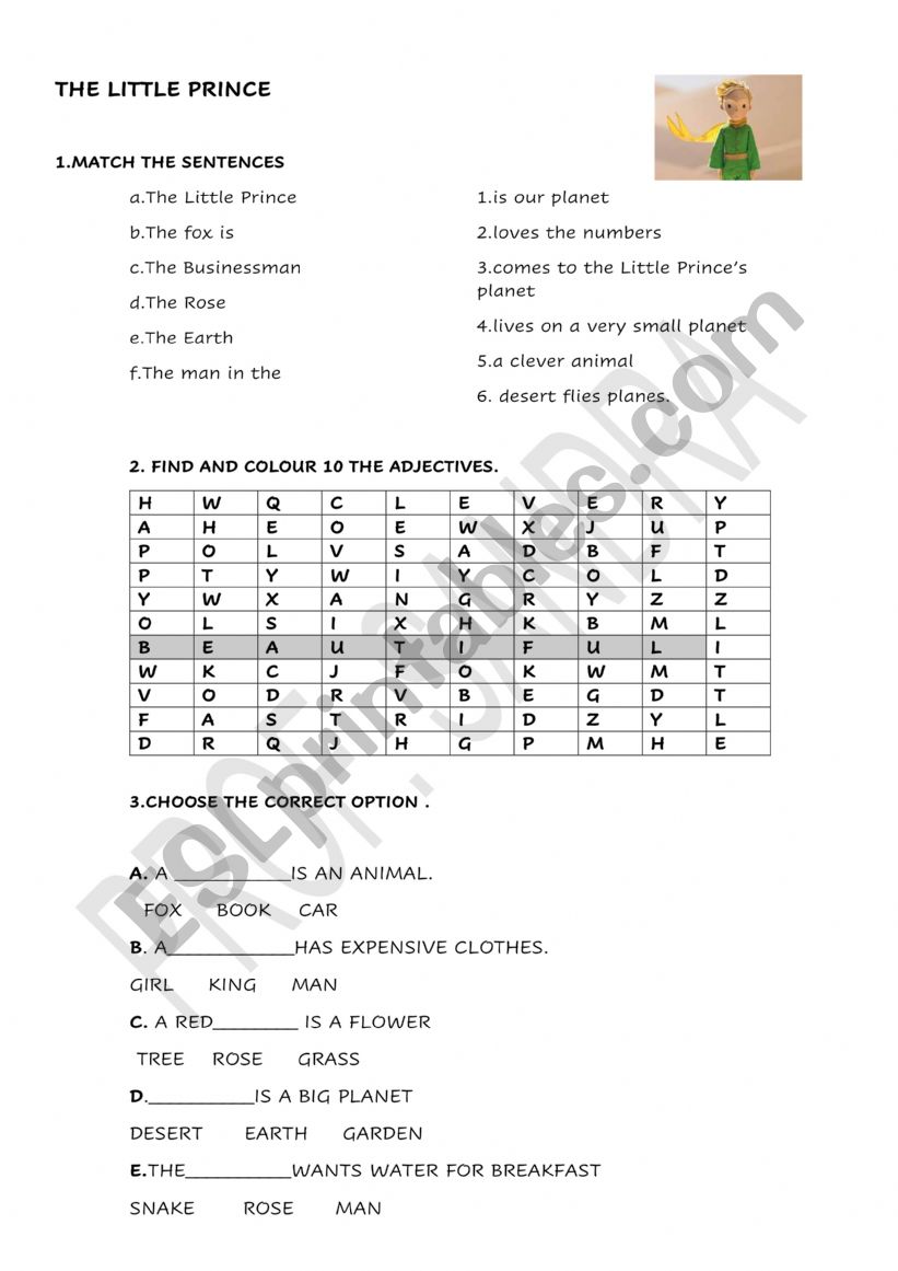 The Little Prince worksheet