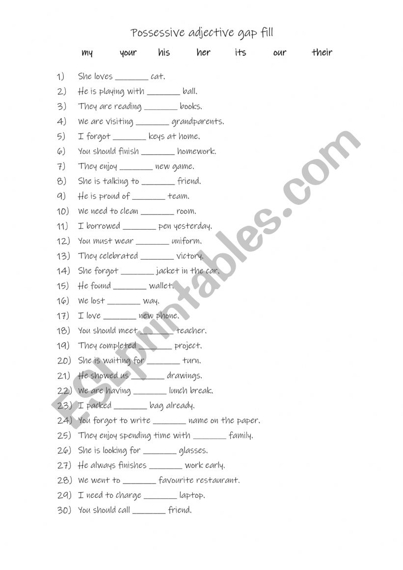 Possessive adjective gap fill practise