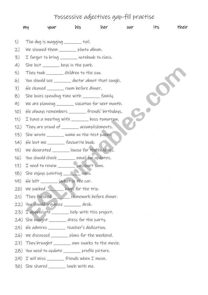 Possessive adjectives gap fill practise 