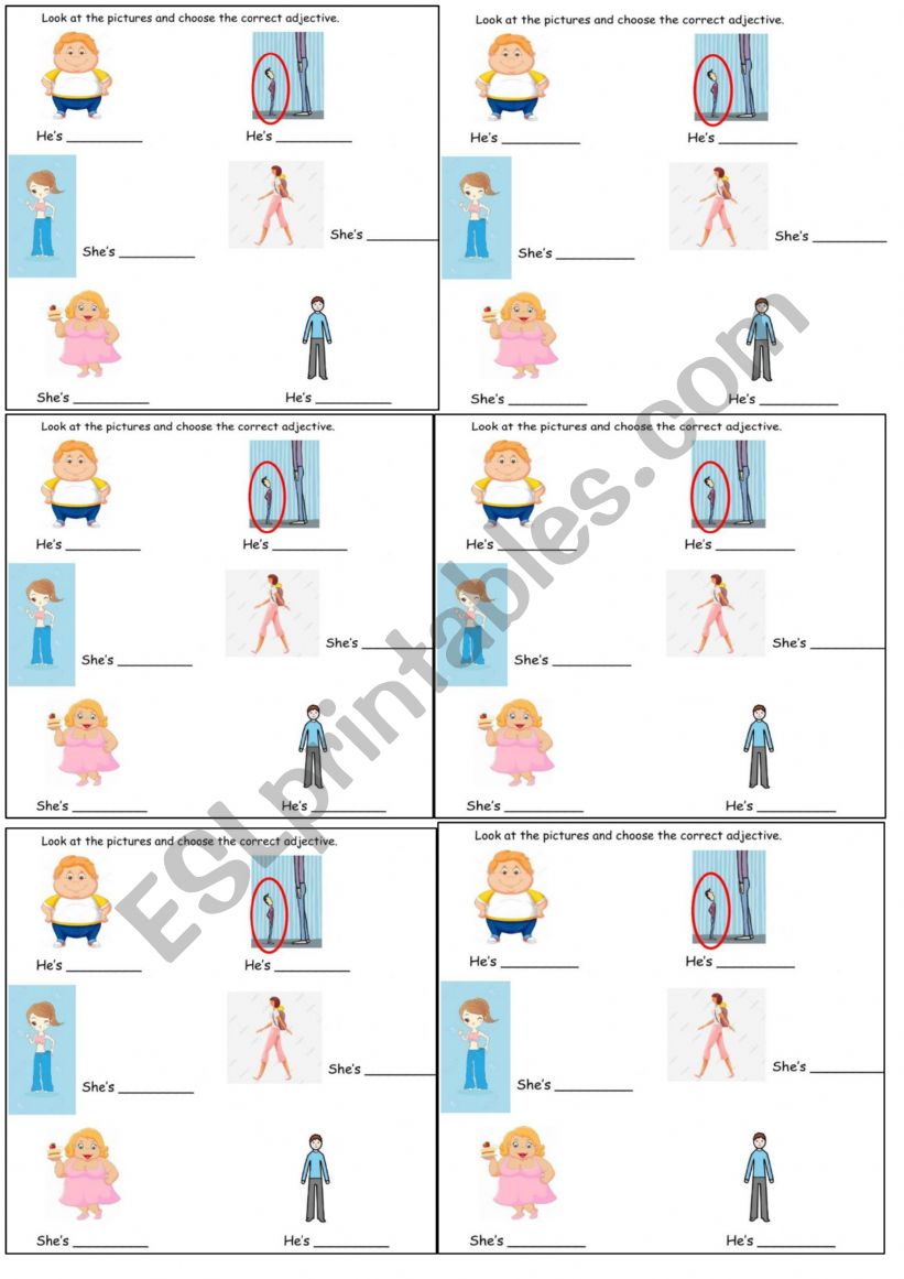 worksheet worksheet