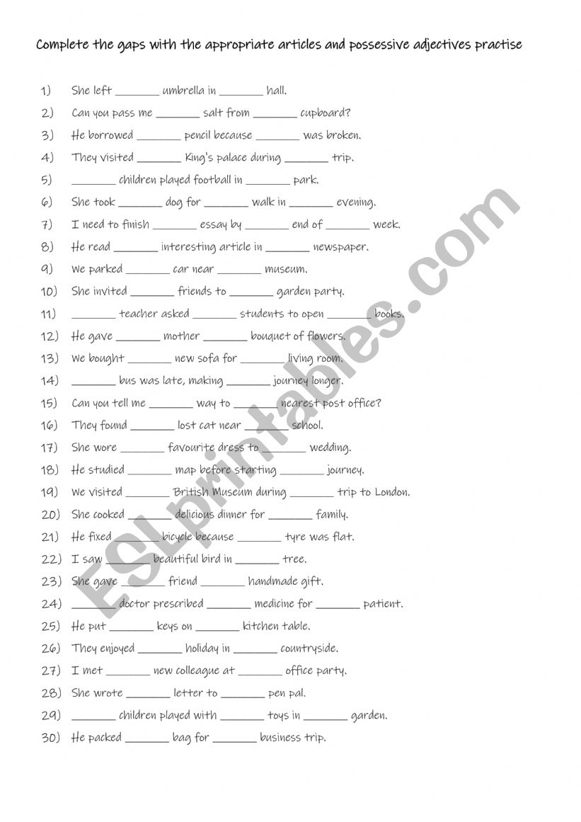 Complete the gaps with appropriate articles and possessive adjectives practise