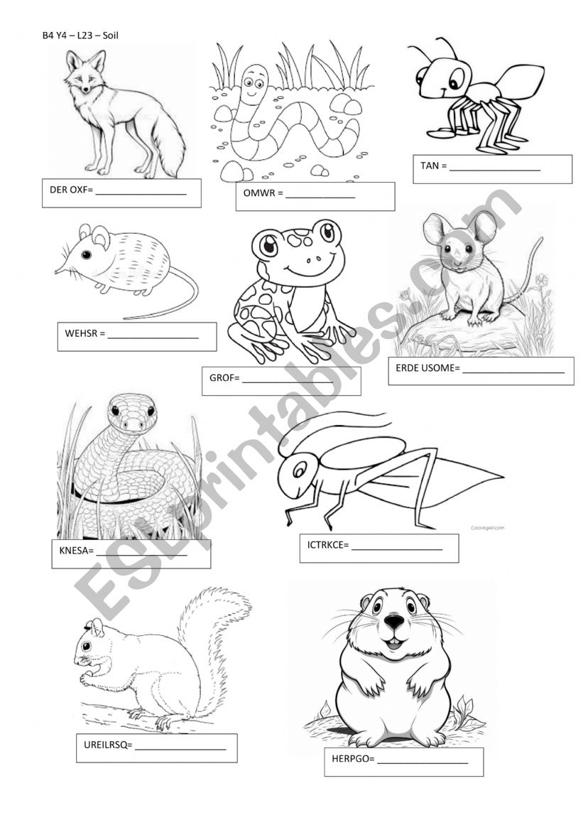 Animals worksheet