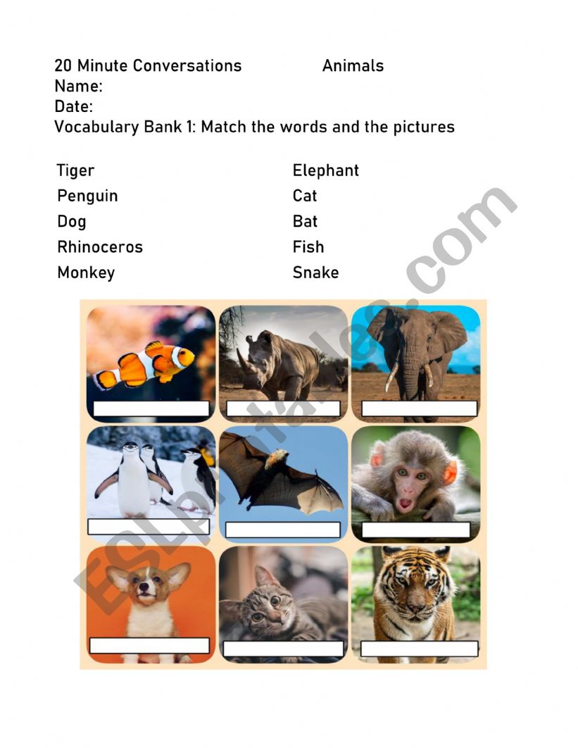 Animals 20 Minute Conversations