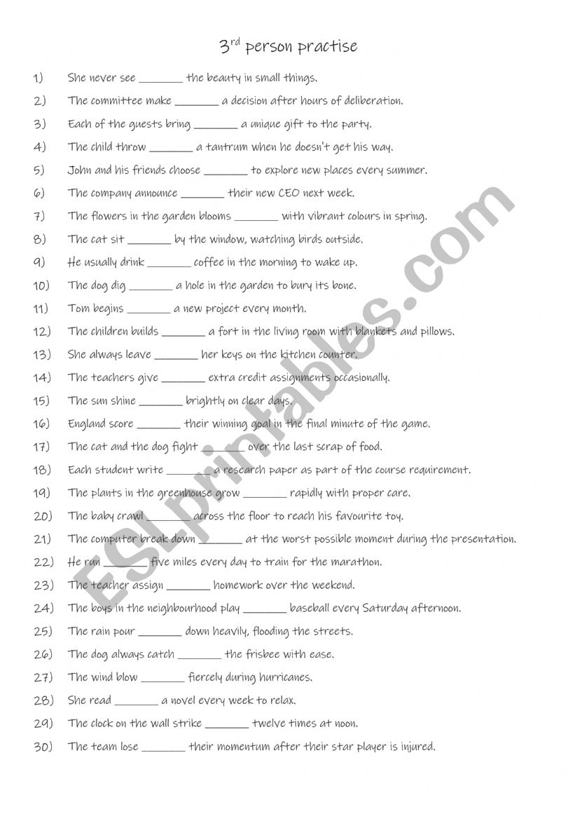 3rd person practise A worksheet