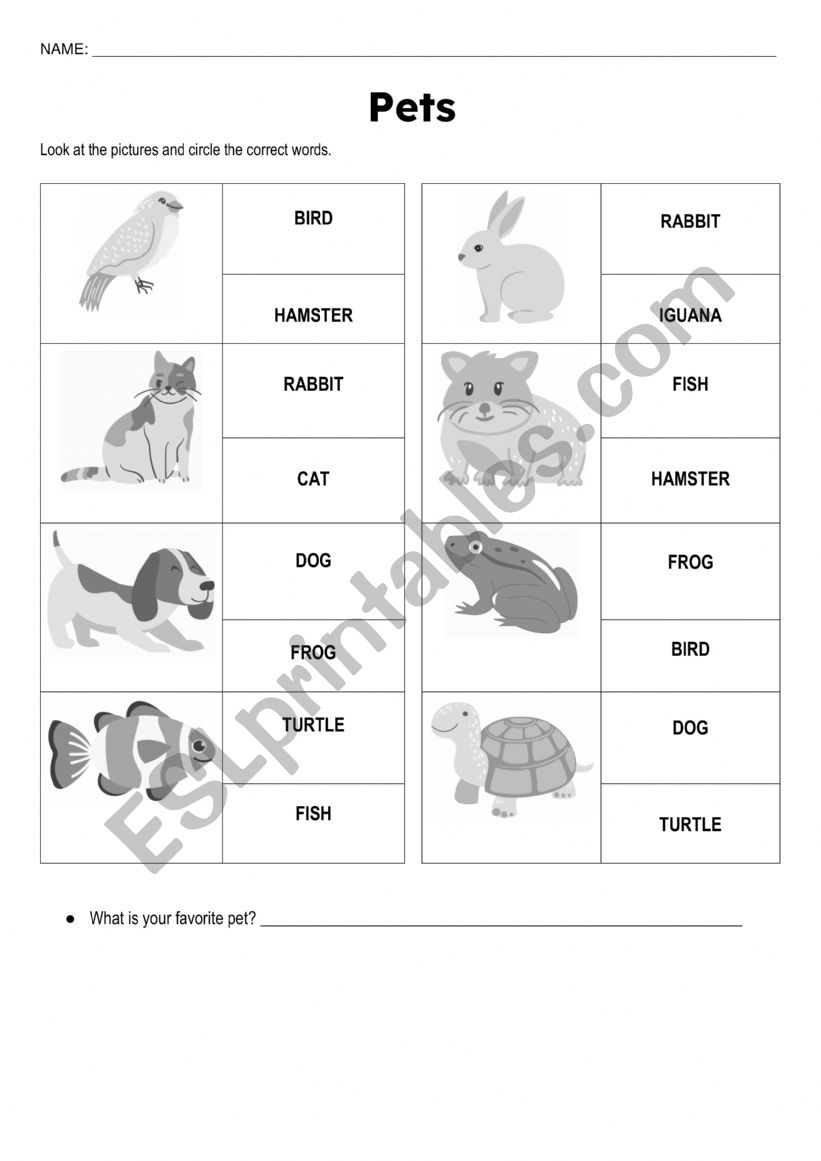 Pets worksheet