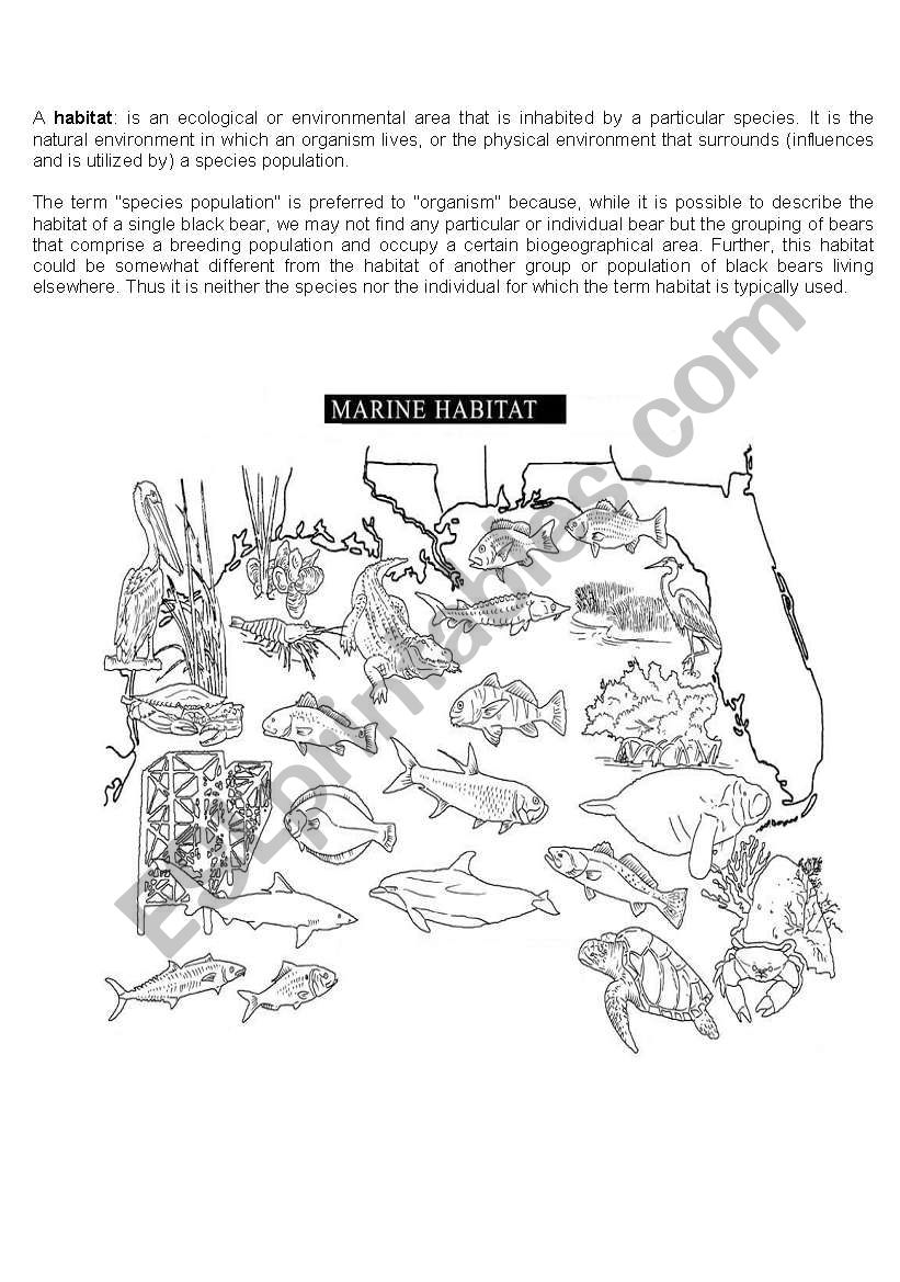 a marine habitat worksheet