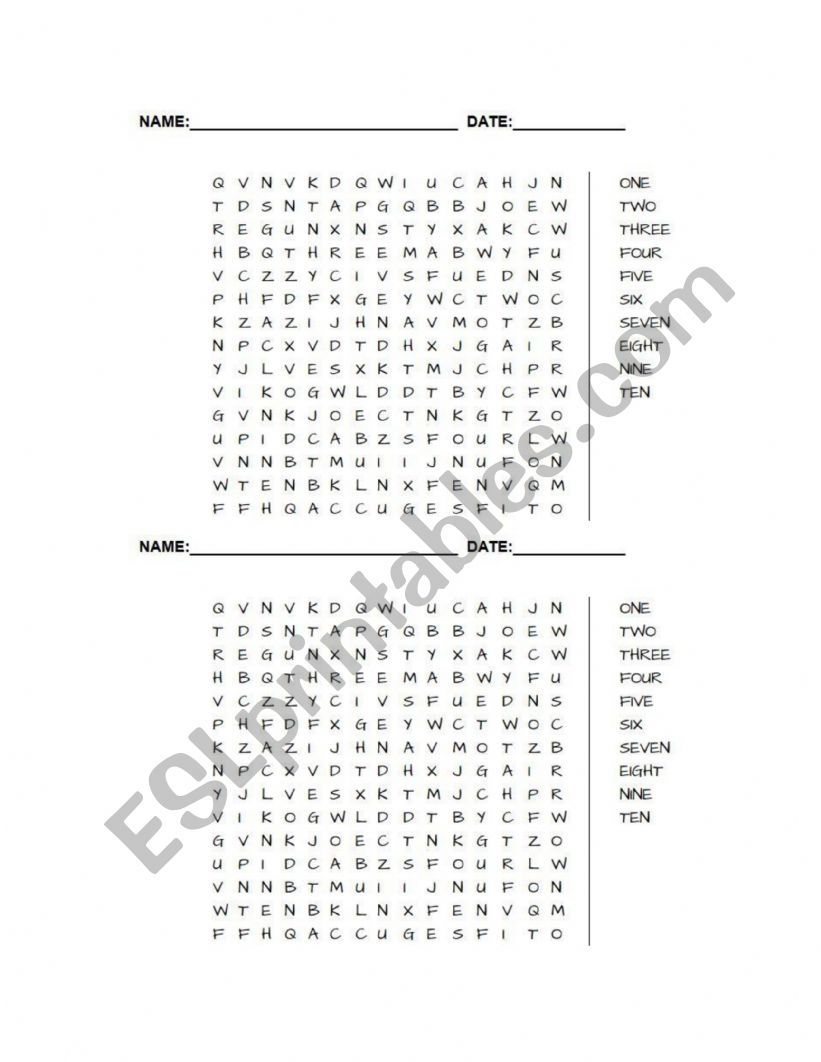 soup  worksheet