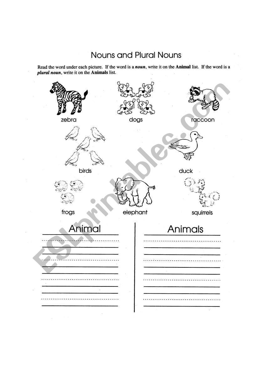 Nouns and Plural Nouns worksheet