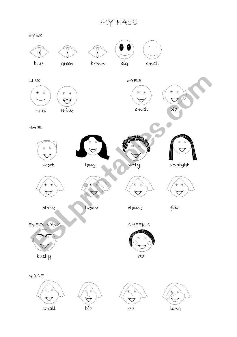 My face - description worksheet