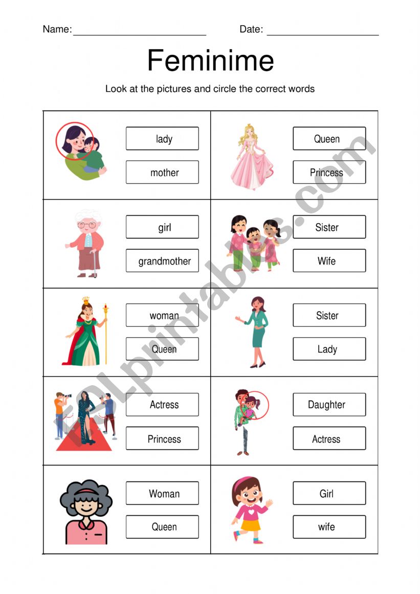 Feminime and Masculine  worksheet
