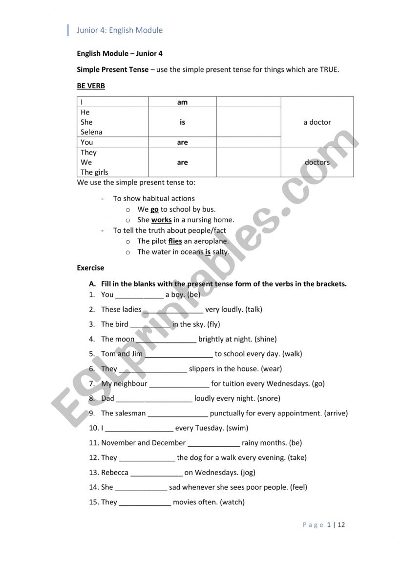 Grammar Module worksheet
