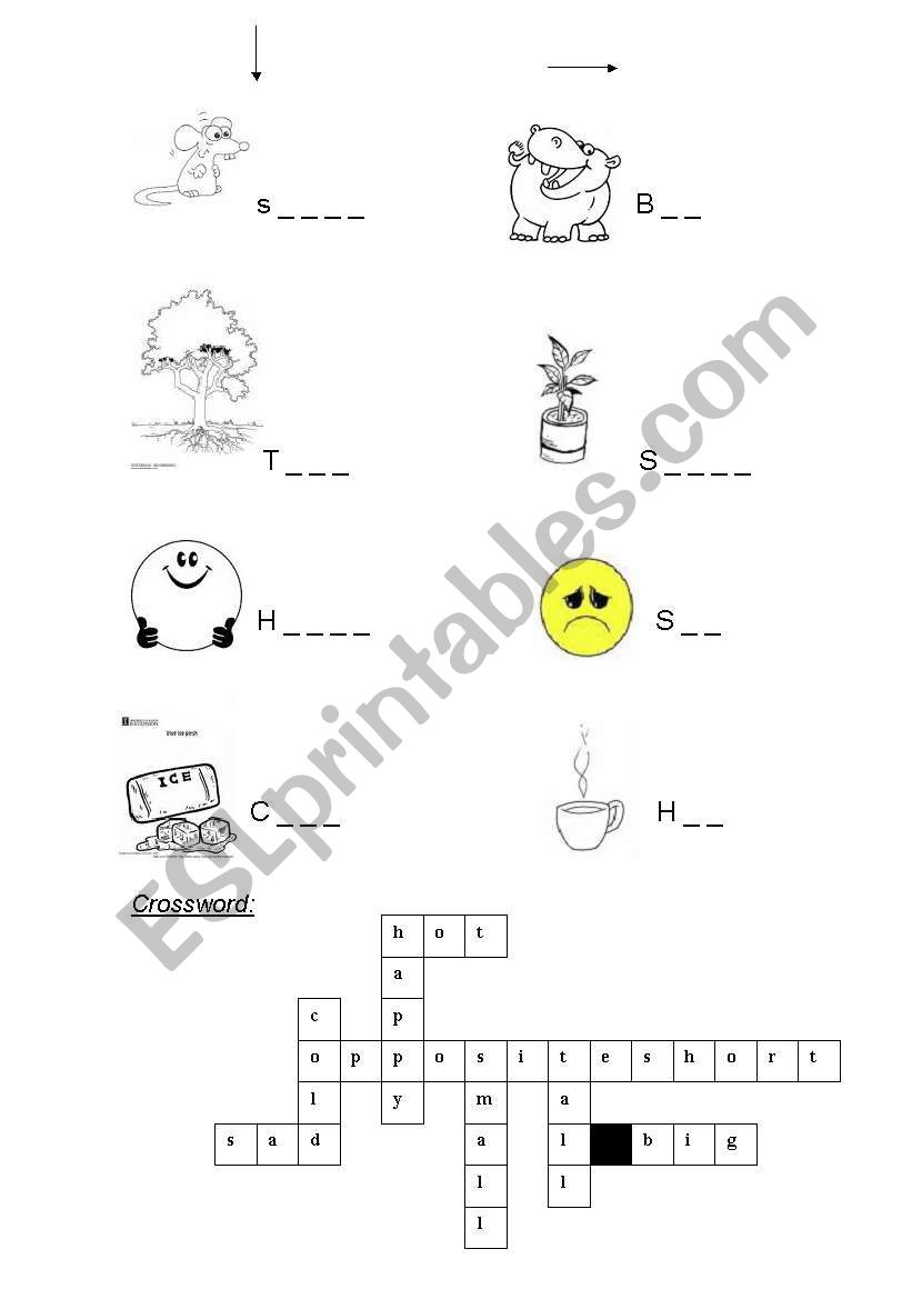 opposites worksheet