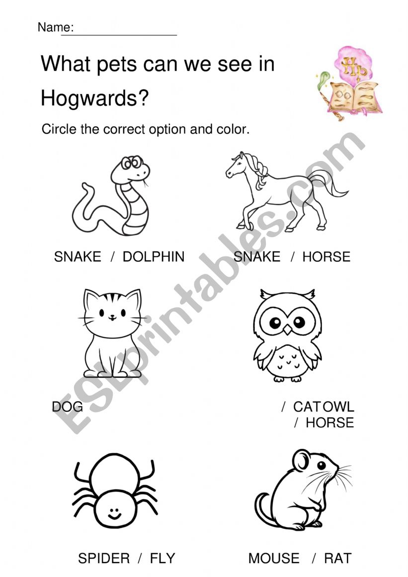 Animals in Hogwards worksheet