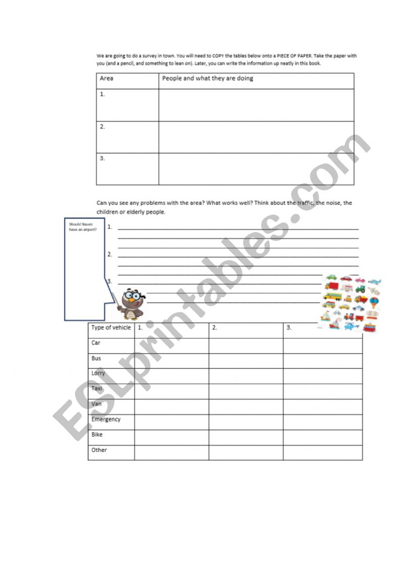 Town Survey worksheet