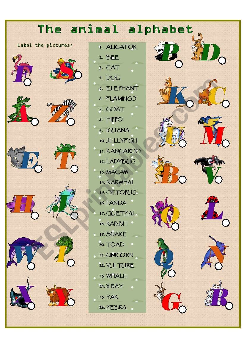 THE ANIMAL ALPHABET worksheet