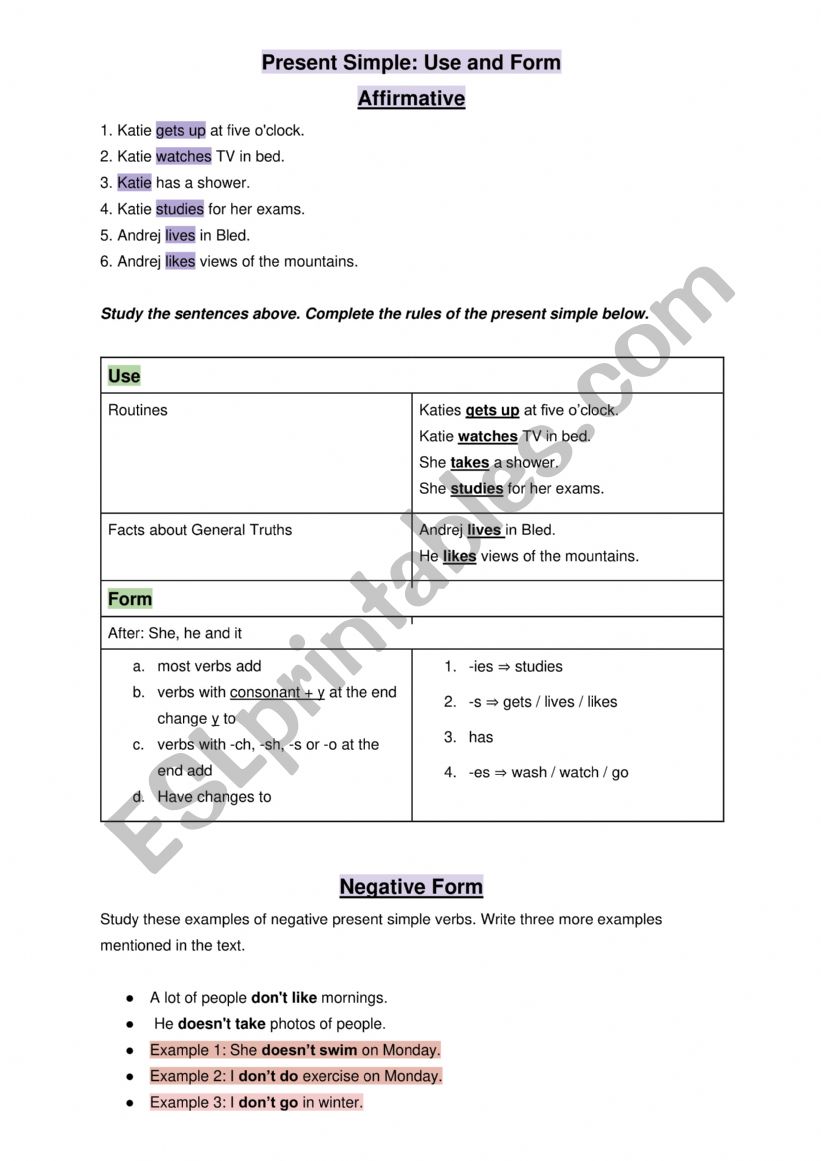 Present Simple Use and Form  worksheet