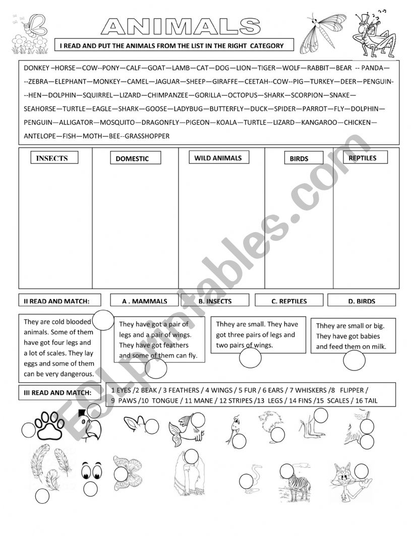 ANIMALS worksheet