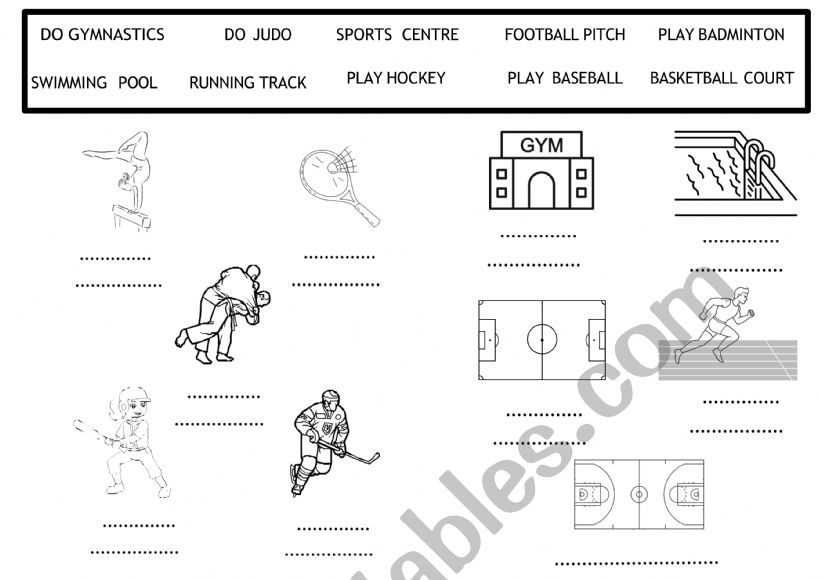 Sports worksheet