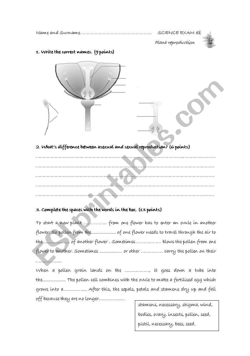 Planr reproduction test worksheet