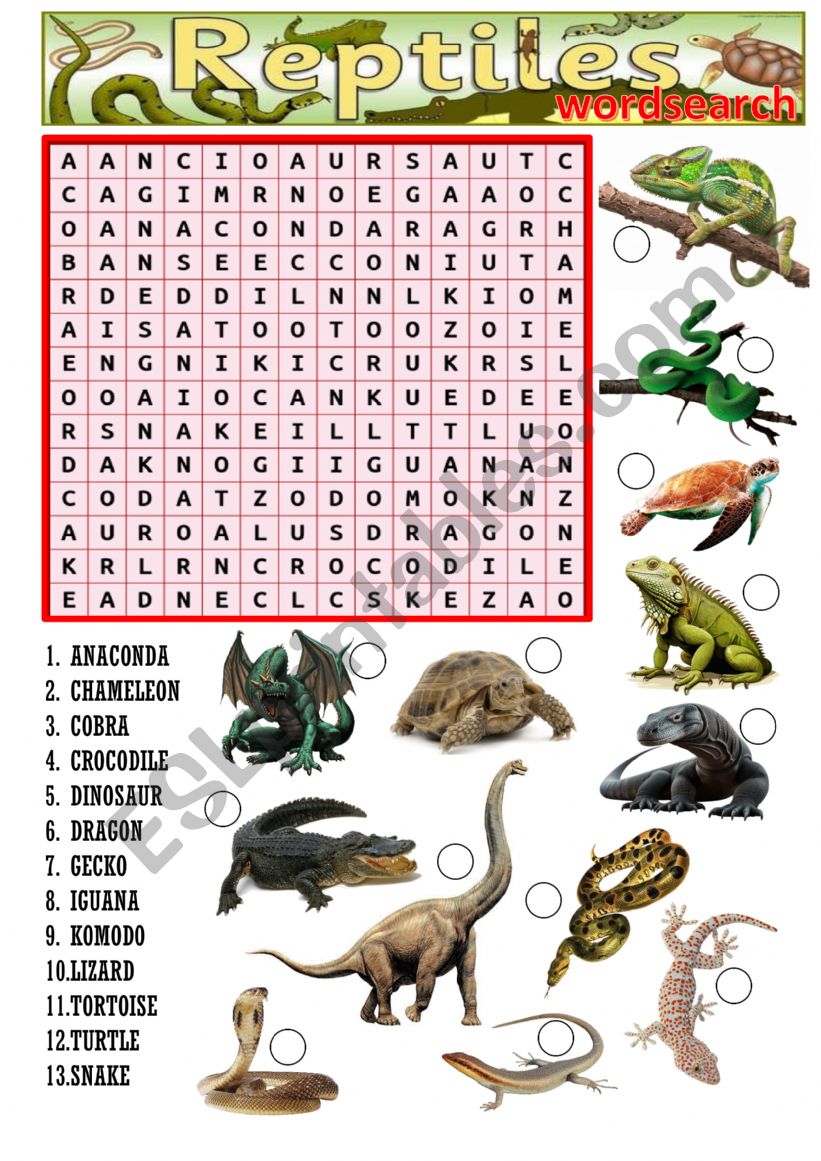 Reptiles wordsearch for kids worksheet