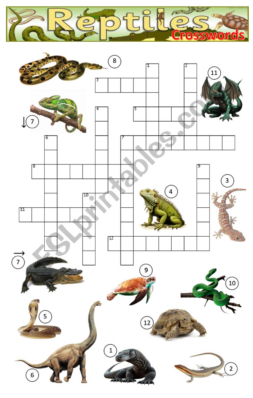 Reptiles Crossword worksheet