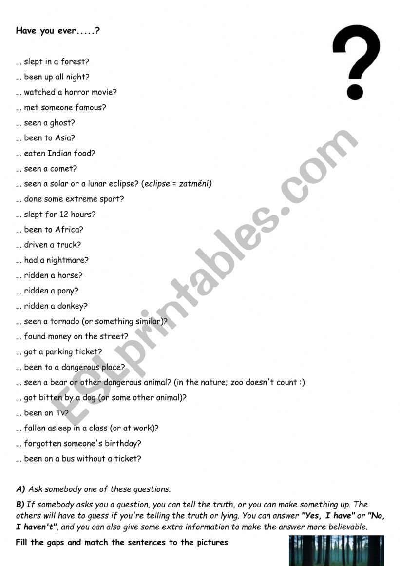 Have you ever...? worksheet