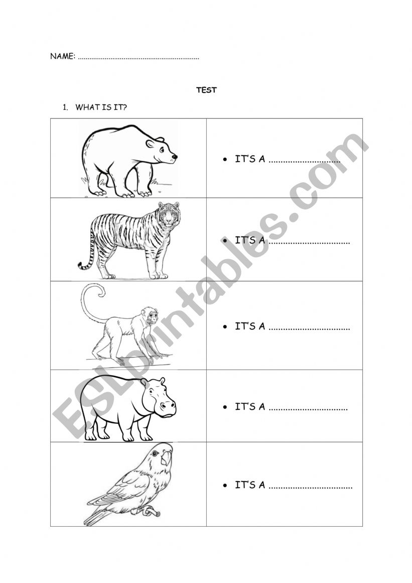 Zoo Animals, likes and dislikes