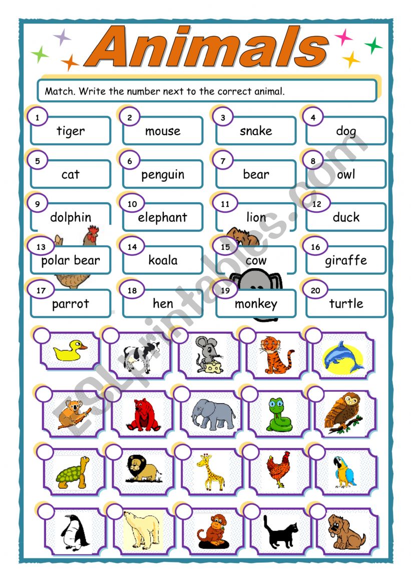 animals worksheet