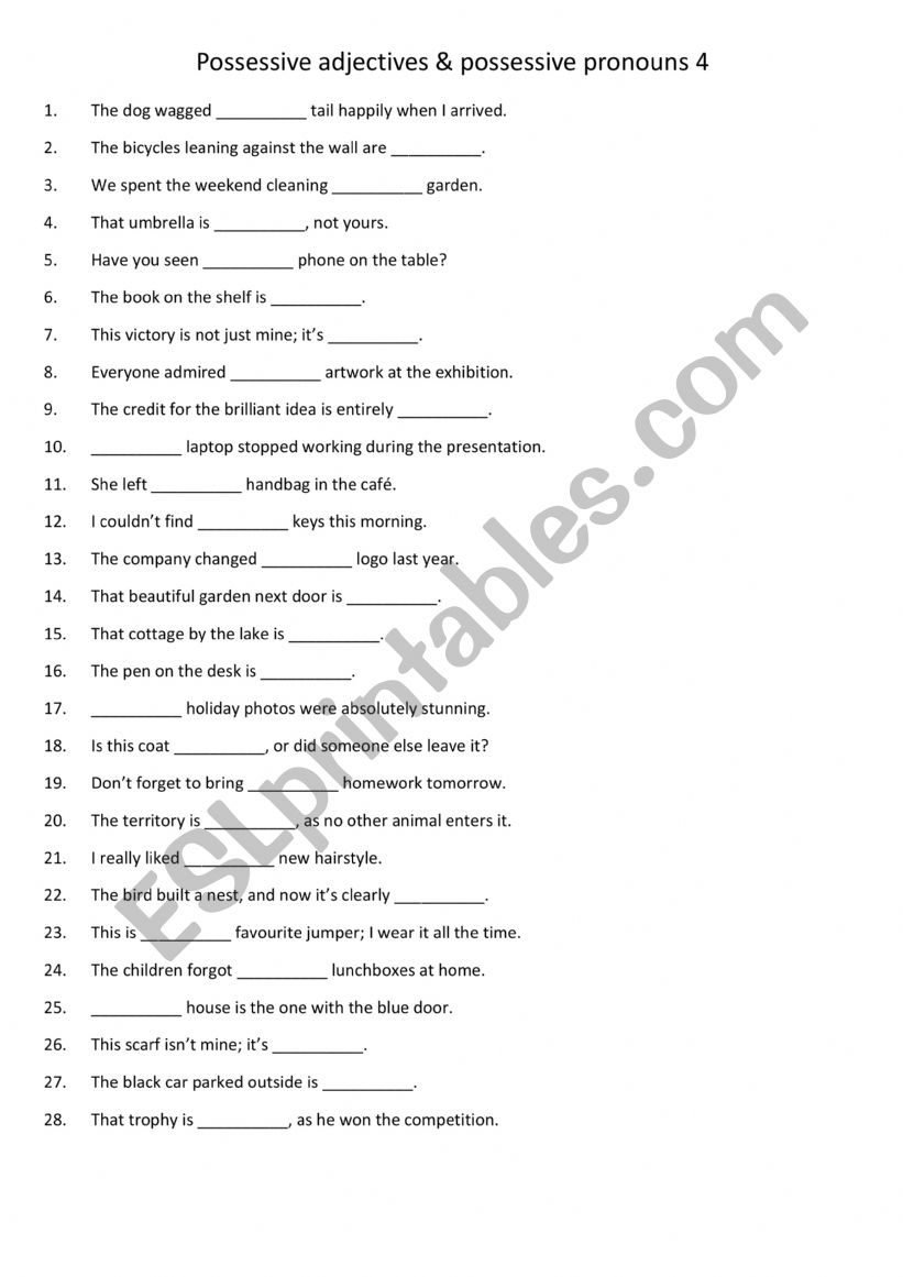 Possessive adjectives & possessive pronouns 4