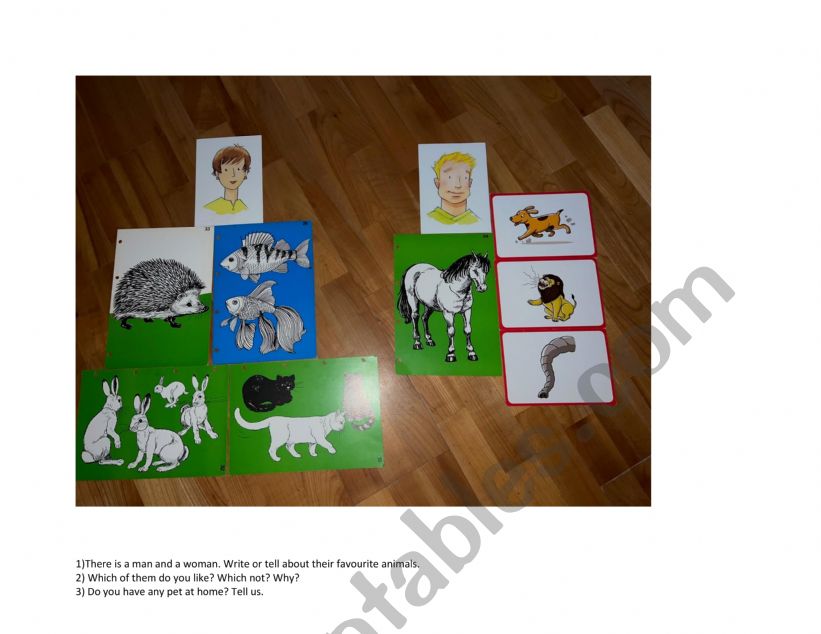 animals worksheet