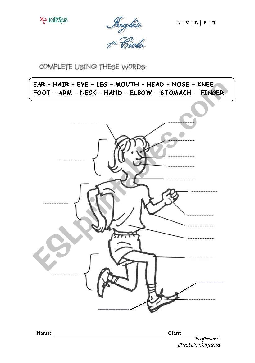 Body Label worksheet