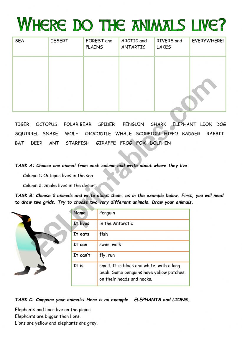 Animals - where do they live worksheet