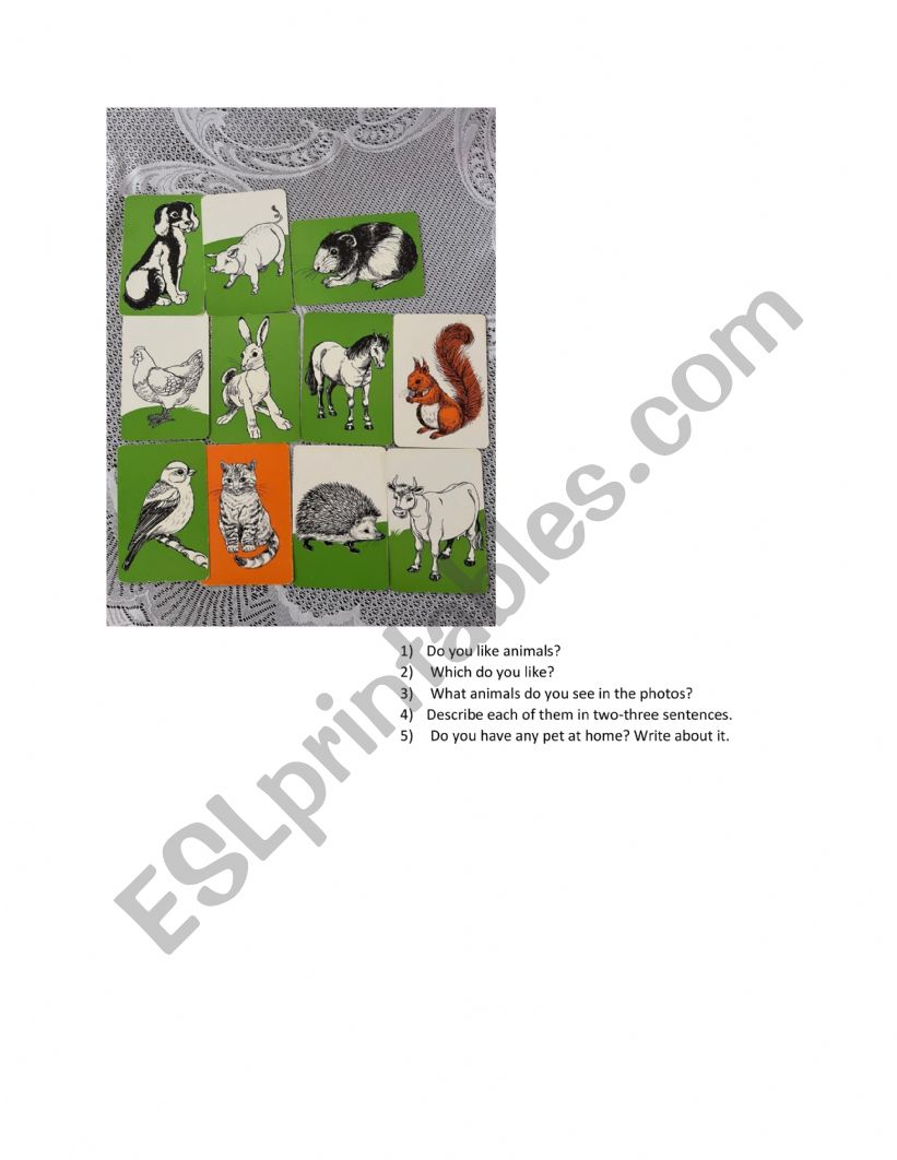 animals worksheet