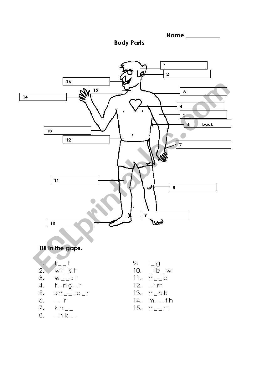 Body Parts worksheet