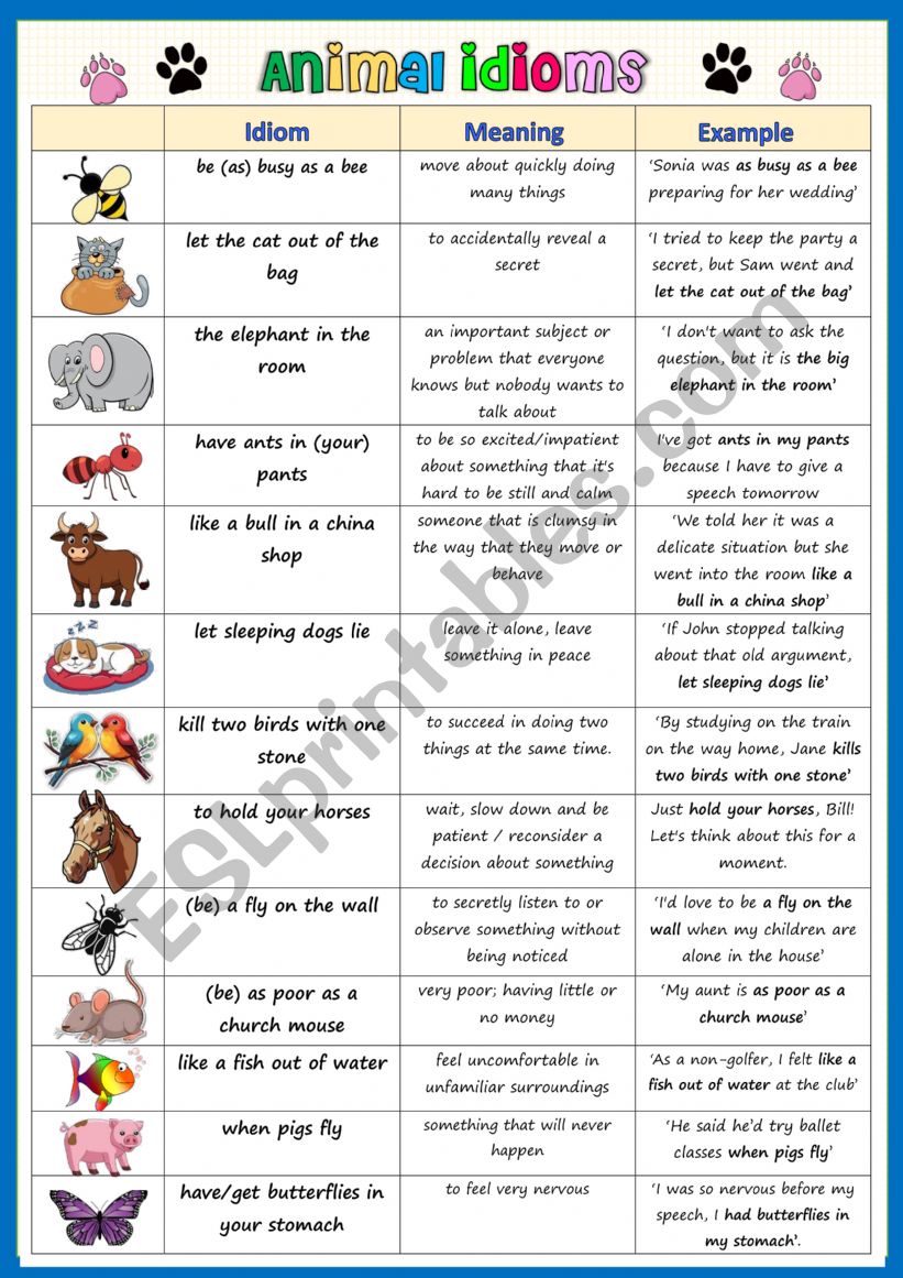 ANIMAL IDIOMS worksheet