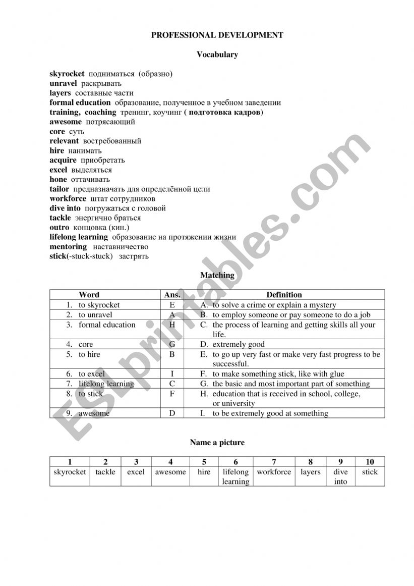 Professionai development worksheet