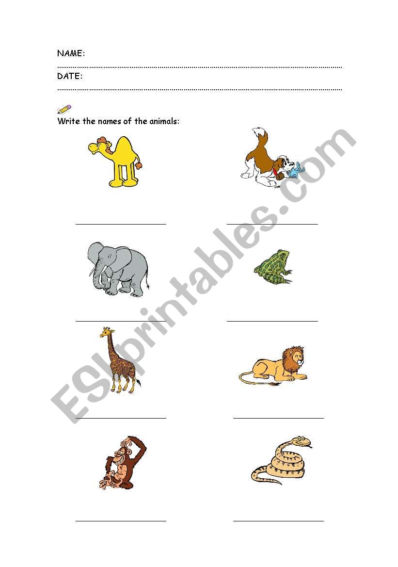 What animal is it? worksheet