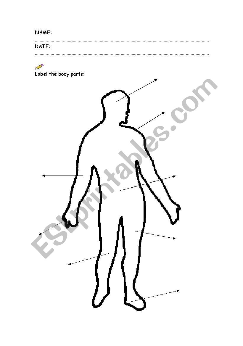 Label my body worksheet