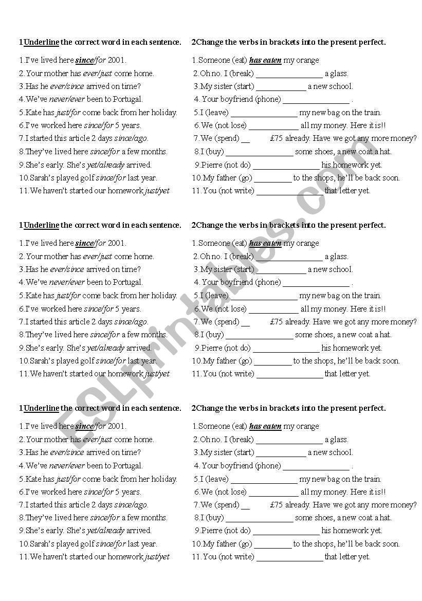 present perfect worksheet