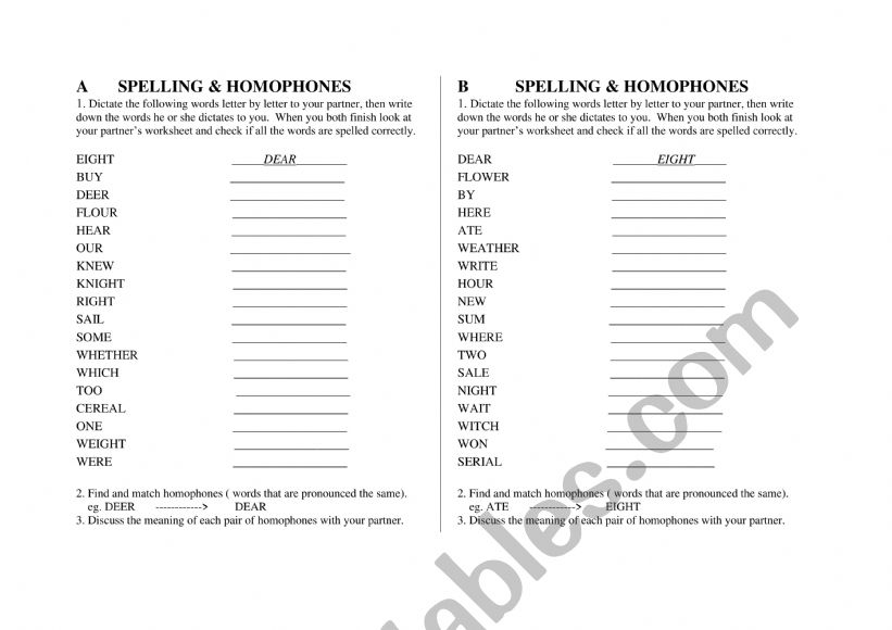 Spelling and Homophones worksheet
